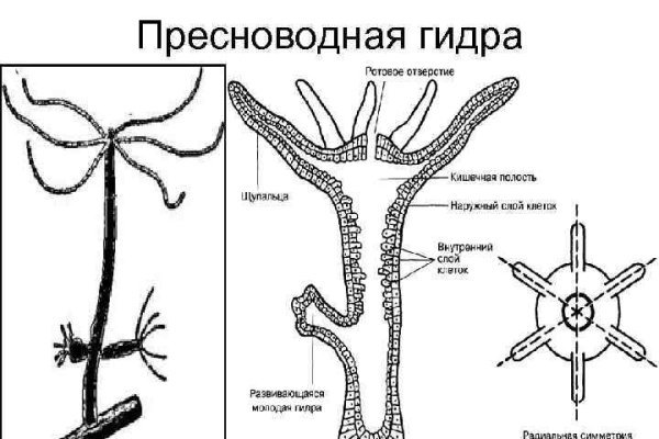 Мега ссылка тор даркнет